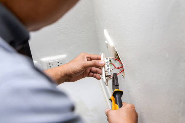 Best Electrician for Home Renovation  in Durant, IA