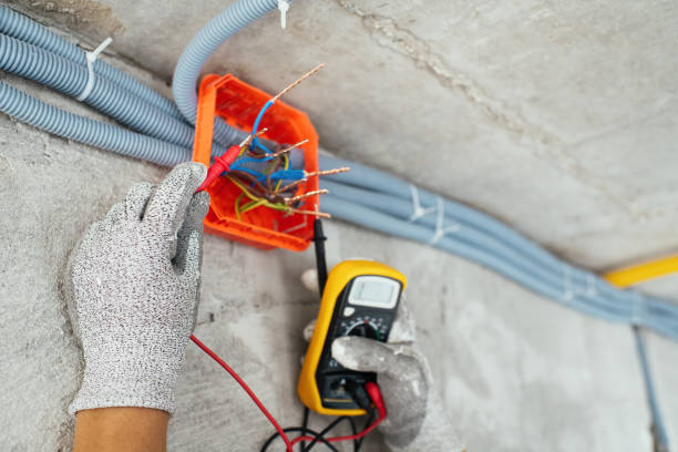 Best Ceiling Fan Installation Electrician  in Durant, IA